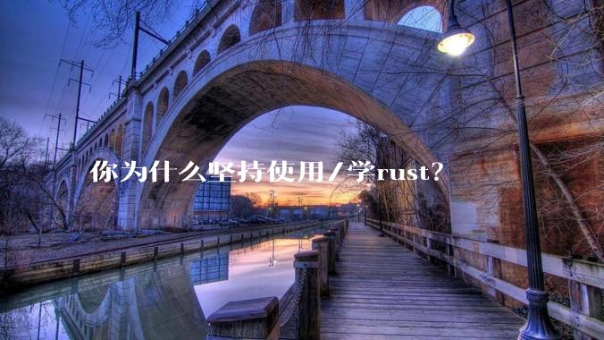 你为什么坚持使用/学rust？