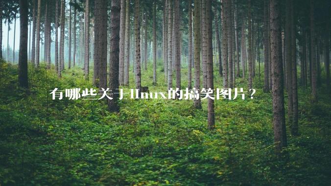 有哪些关于linux的搞笑图片？