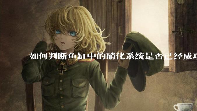 如何判断鱼缸中的硝化系统是否已经成功建立？