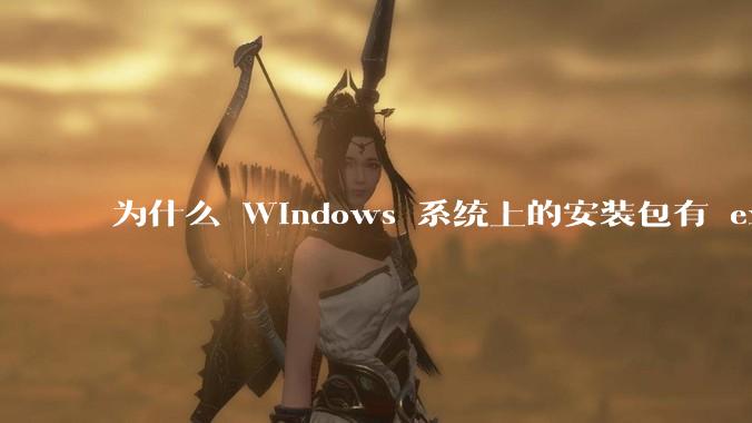 为什么 Windows 系统上的安装包有 exe 和 msi 两种格式，有什么区别？