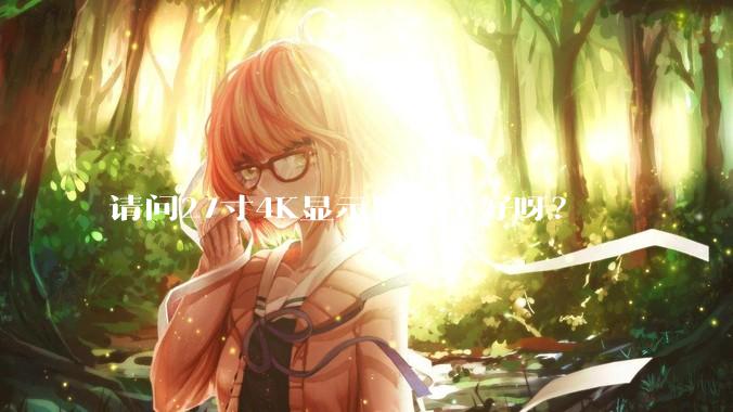 请问27寸4K显示器哪个好呀？