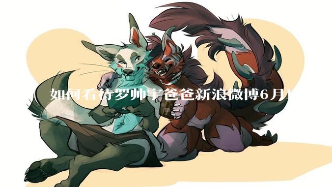 如何看待罗帅宇爸爸新浪微博6月16日放出的录音材料？