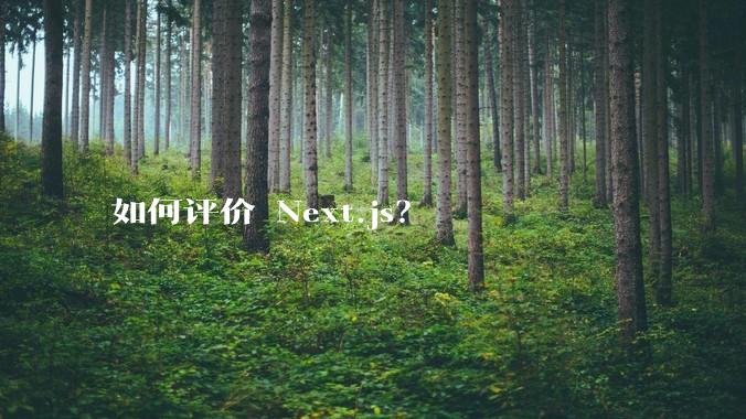 如何评价 Next.js？