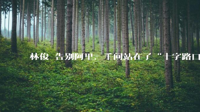 林俊旸告别阿里，千问站在了“十字路口”_Qwen_模型_技术骨干