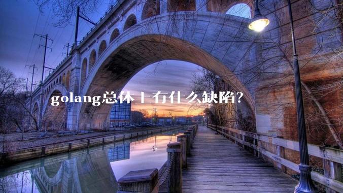 golang总体上有什么缺陷？