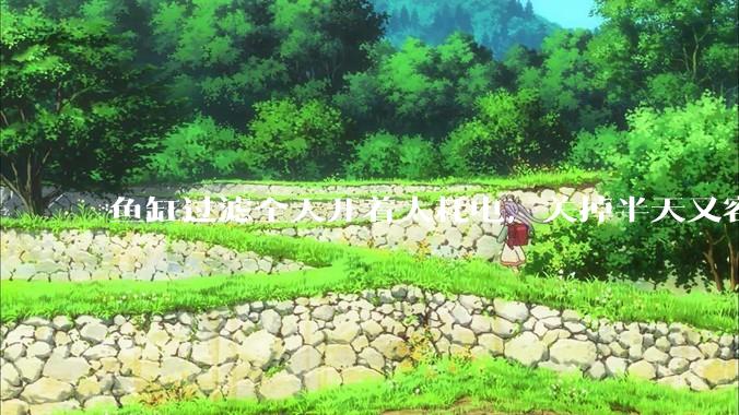 鱼缸过滤全天开着太耗电，关掉半天又容易水浑，有什么好办法？