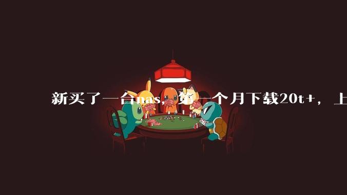 新买了一台nas，第一个月下载20t+，上传5+，不会被网警盯上吧?