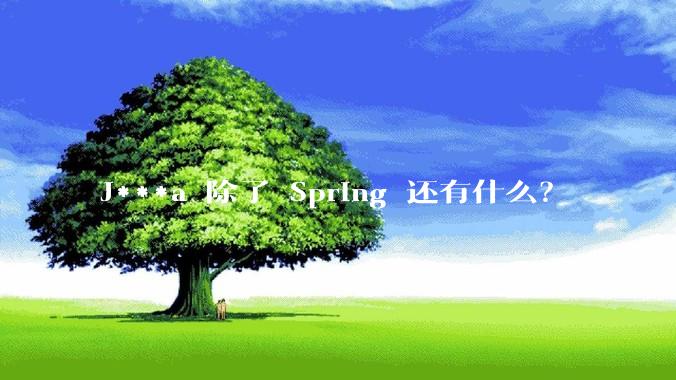 J***a 除了 Spring 还有什么？