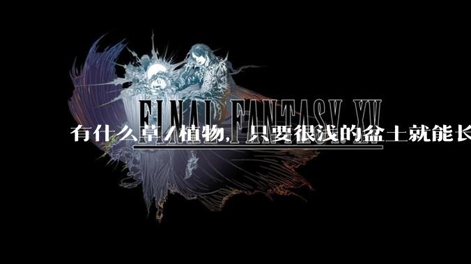 有什么草/植物，只要很浅的盆土就能长很高？