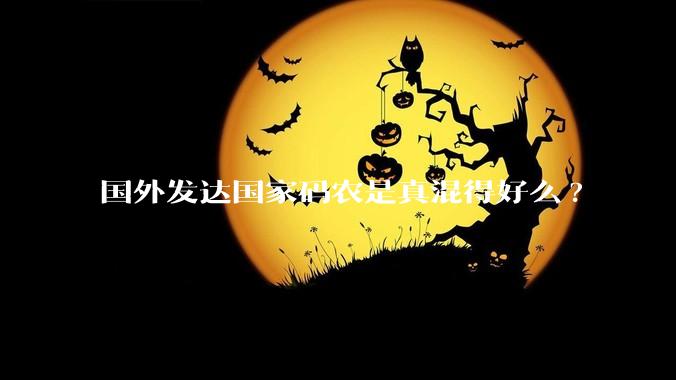 国外发达国家码农是真混得好么?