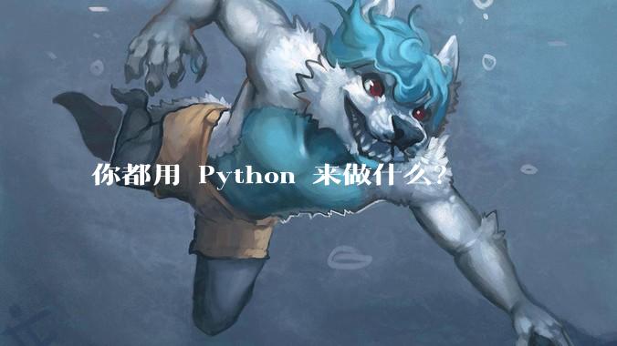你都用 Python 来做什么？