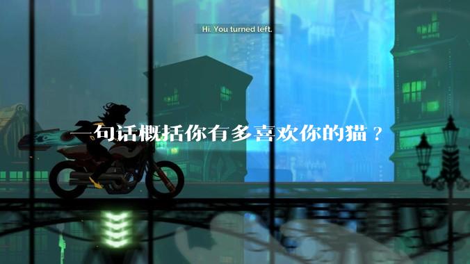 一句话概括你有多喜欢你的猫?